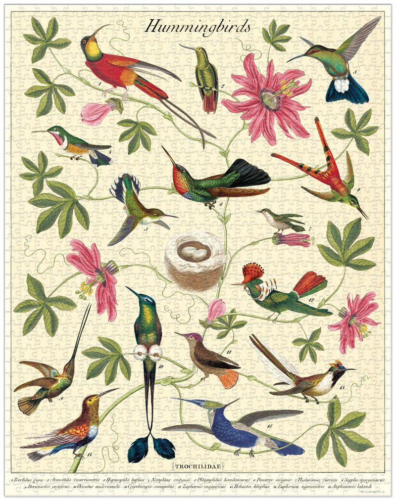 Cavallini - Vintage Jigsaw Puzzle - 1000 Pieces - 55x70cms - Hummingbirds