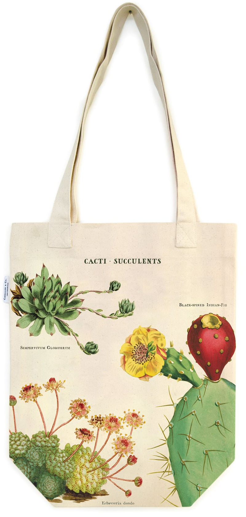 Cavallini - 100% Natural Cotton Vintage Tote Bag - 33x40.5cms - Cactus/Cacti/Succulents