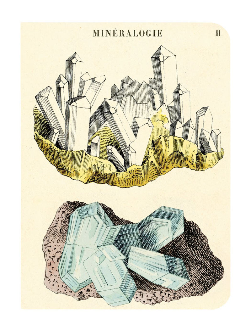 Cavallini - Set of 3 Mini Notebooks - Mineralogy