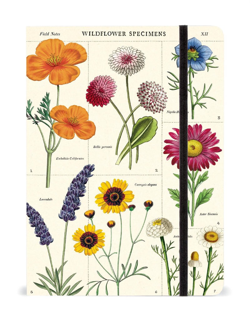 Cavallini - Large Lined Notebook 6x8ins - Wildflower Specimens - 144 Pages With Elastic Enclosure