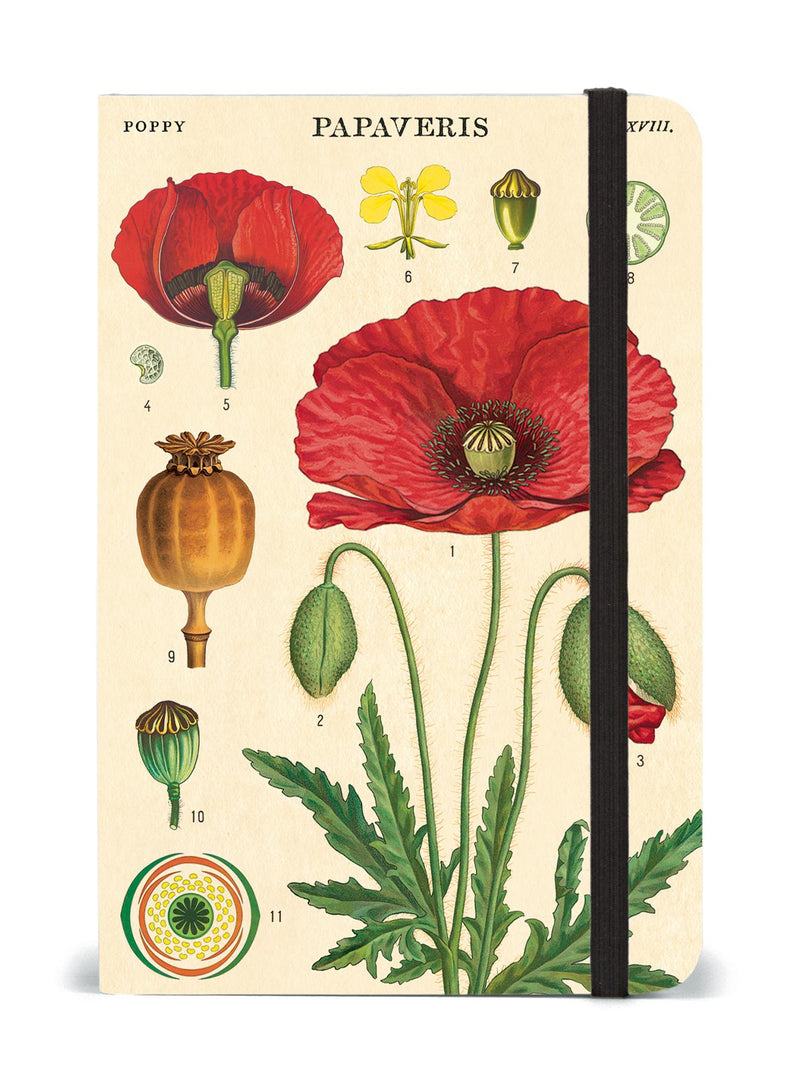 Cavallini - Small Lined Pocket Notebook 4x6ins - Botany/Poppies- 256 Pages With Elastic Enclosure
