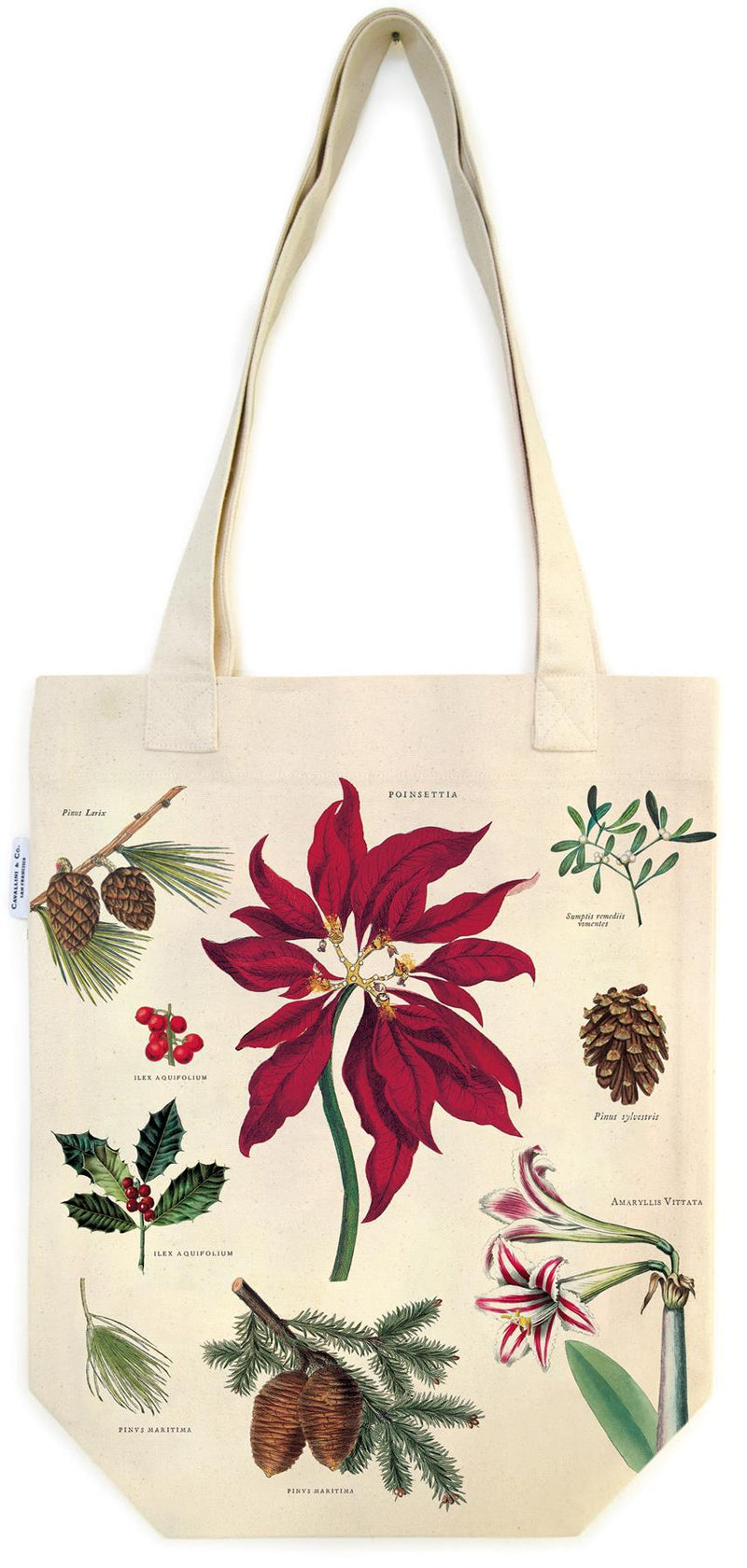 Cavallini - 100% Natural Cotton Vintage Tote Bag - 33x40.5cms - Christmas Botanicals