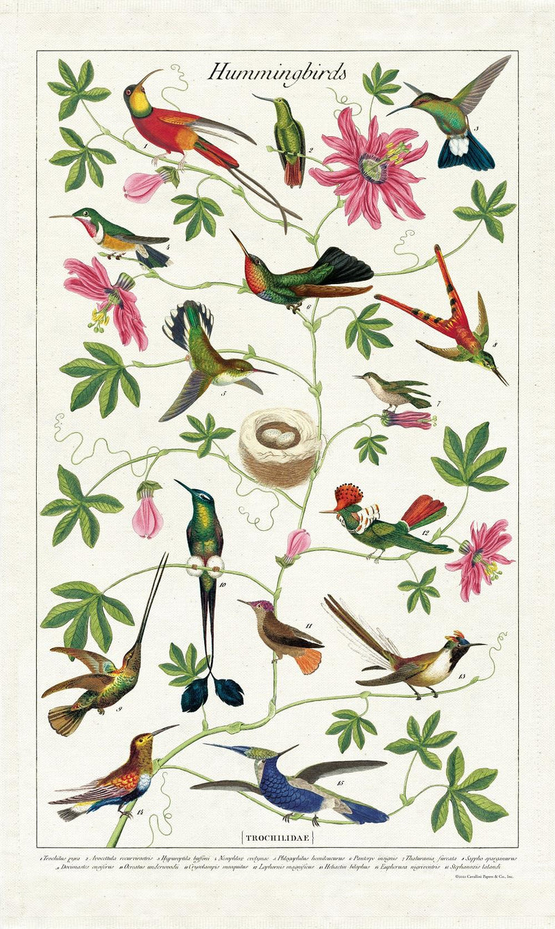 Cavallini - 100% Natural Cotton Vintage Tea Towel - 80 x 47cms - Hummingbirds