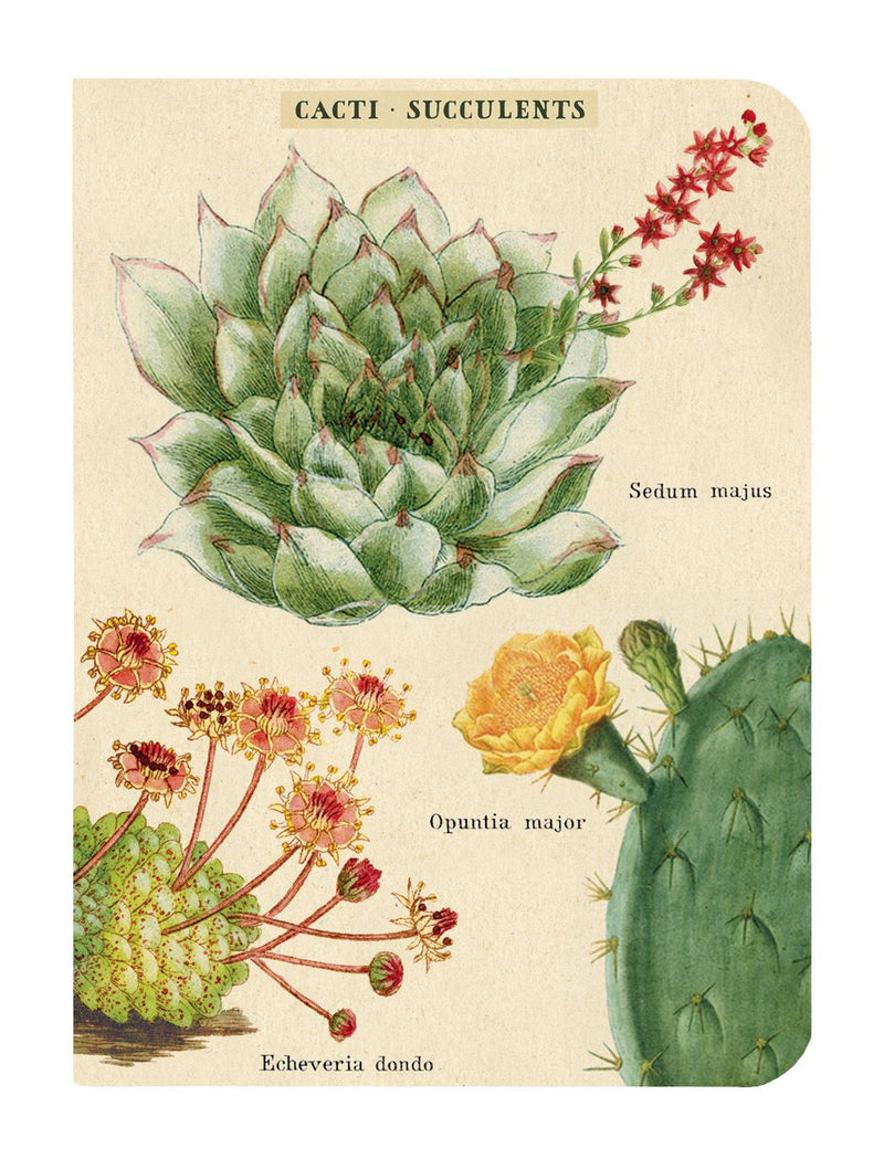 Cavallini - Set of 3 Mini Notebooks - Succulents/Cacti - Lined, Blank & Graph Interiors