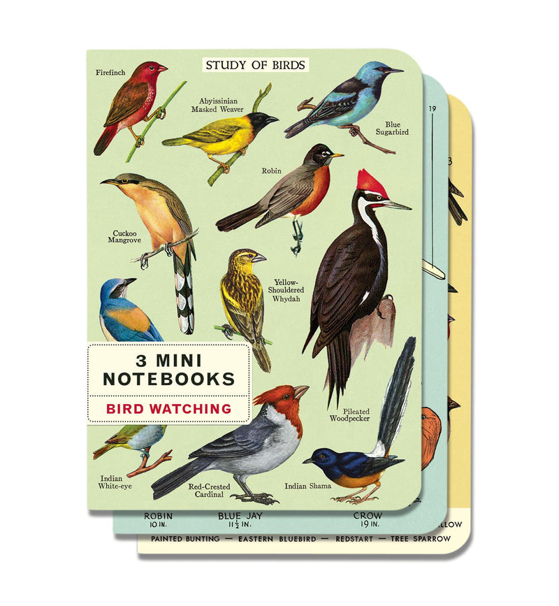 Cavallini - Set of 3 Mini Notebooks - Bird Watching/Ornithology - Lined, Blank & Graph Interiors