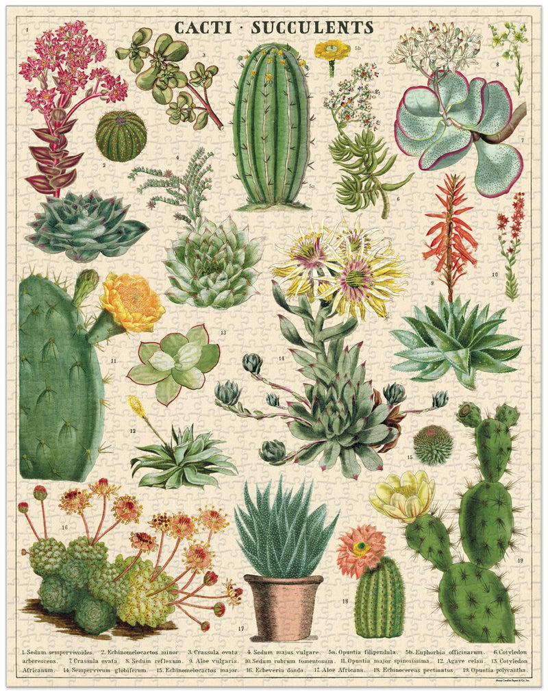 Cavallini - Vintage Jigsaw Puzzle - 1000 Pieces - 55x70cms - Cactus, Cacti & Succulents