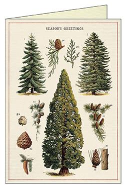 Cavallini - 10 x Christmas Greetings Cards/Notes - Christmas Trees