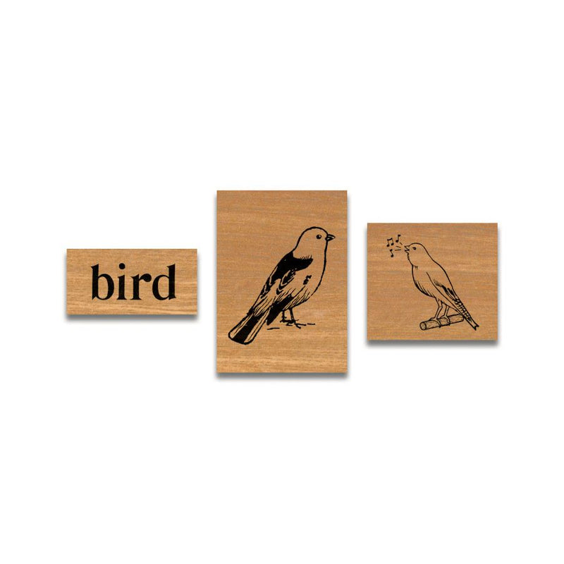 Cavallini - Tin of Rubber Stamps - Birds - Set of 3 Stamps