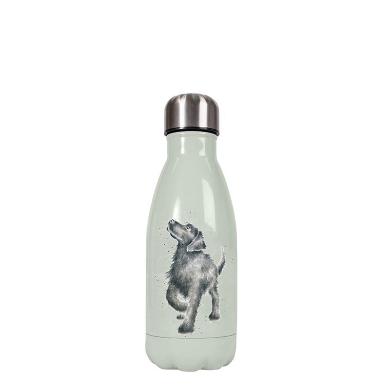 Puppy Dogs - Reusable Isotherm Water Bottle - Small - 260ml - Wrendale Designs